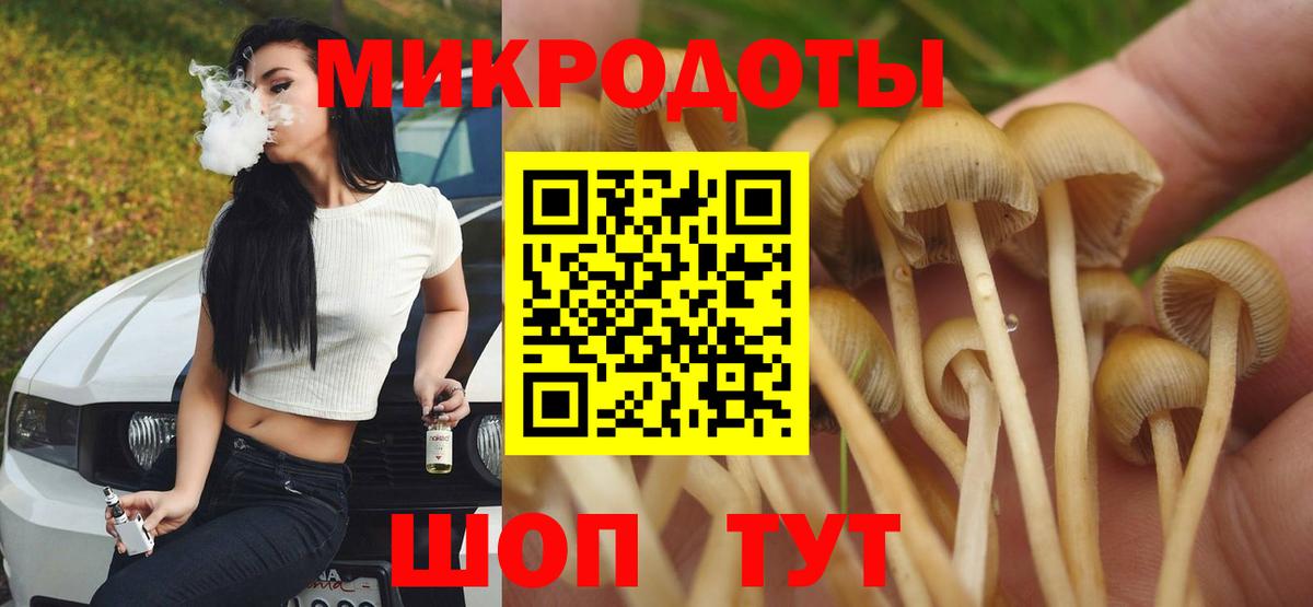 Рассказово  Галлюциногенные грибы Psilocybe  Вход с VPN 